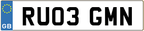 Truck License Plate
